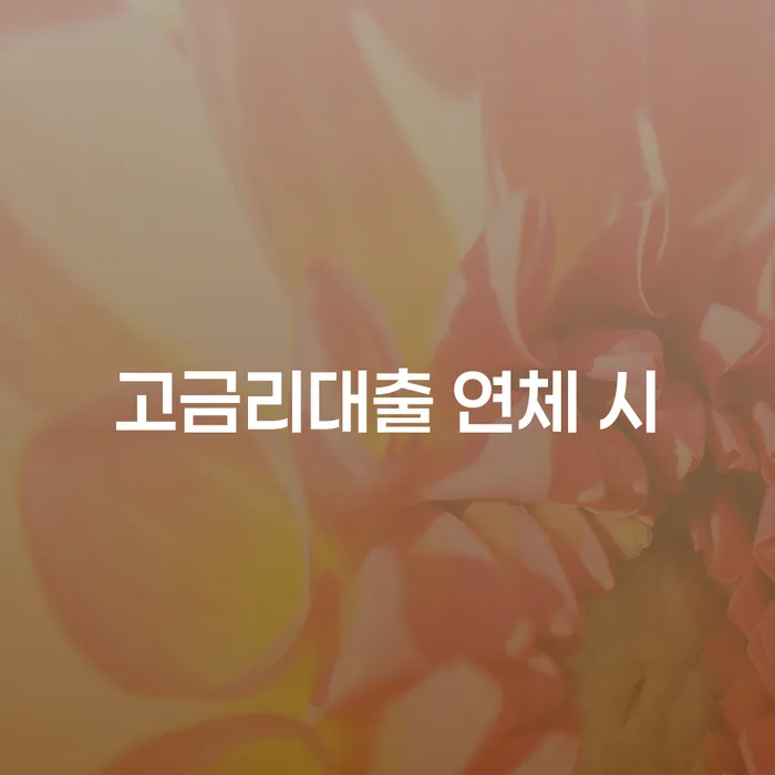 개인회생파산비용 싸고 분납이 가능하면서 개인회생으로 현명하게 면담후에