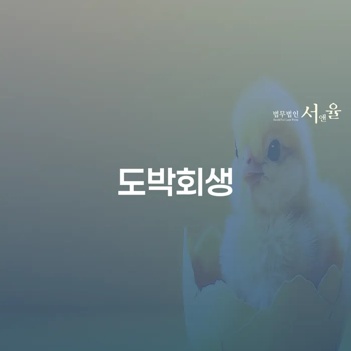 신용카드개인회생 개인회생으로 방법 높아진