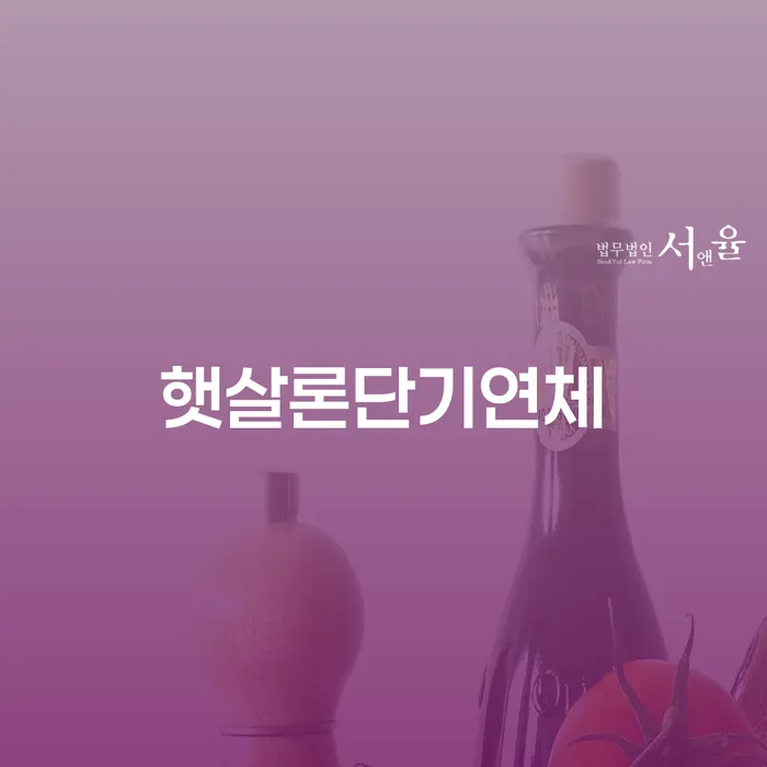 개인회생변호사 개인회생 제도 전문가와 함께