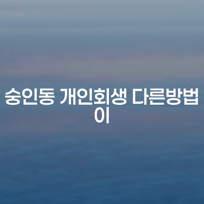 숭인동 개인회생 다른방법이