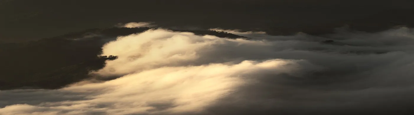 법무법인 서앤율