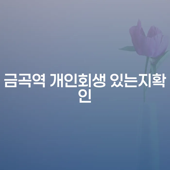 금곡역 개인회생 있는지확인
