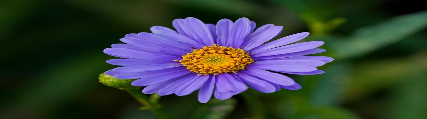 법무법인 서앤율