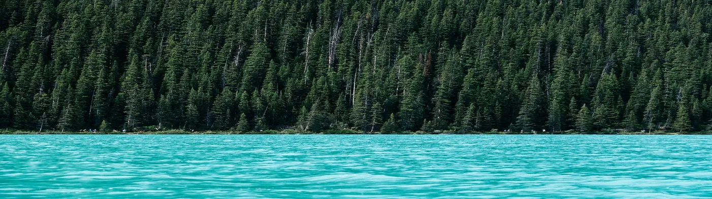 법무법인 서앤율