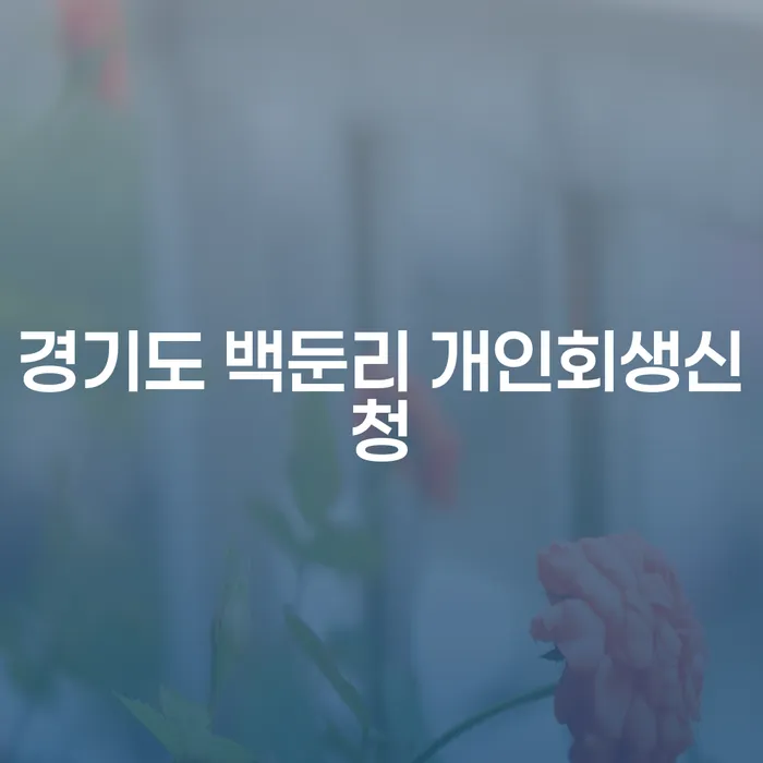 경기도 백둔리에서 개인회생을 신청하려면 어떻게 해야 할까요?