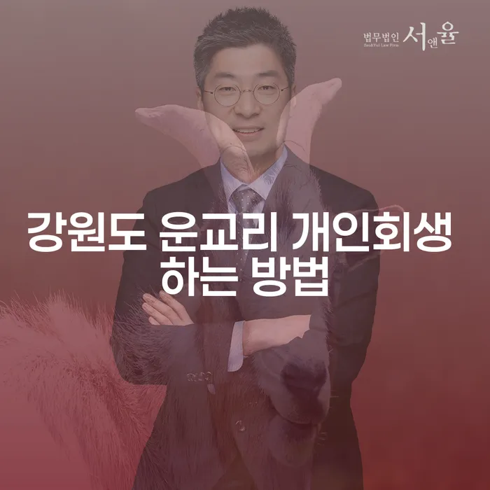 강원도 운교리에서 개인회생을 신청하려면 어떻게 해야 할까요?