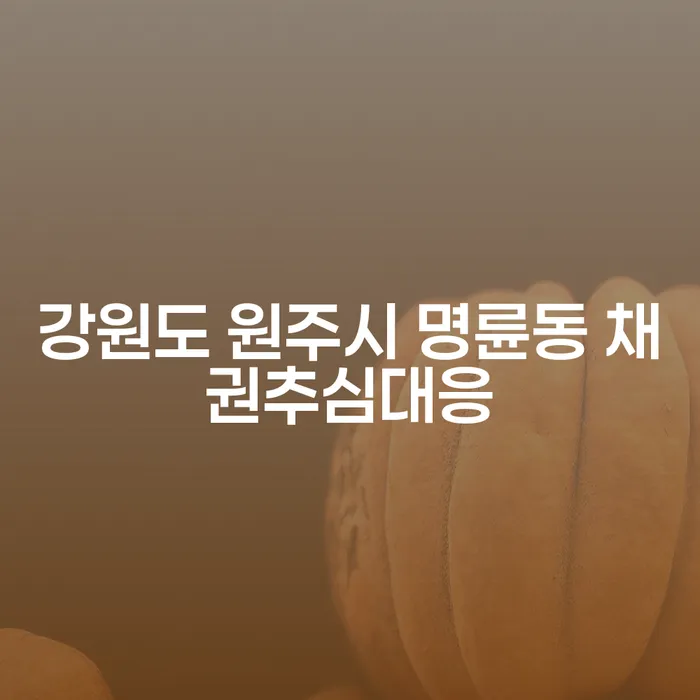 강원도 원주시 명륜동에서의 채권추심대응, 그리고 코인빚 4억원 이상 개인회생 방법은?