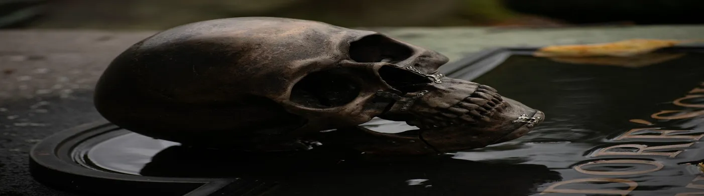 법무법인 서앤율